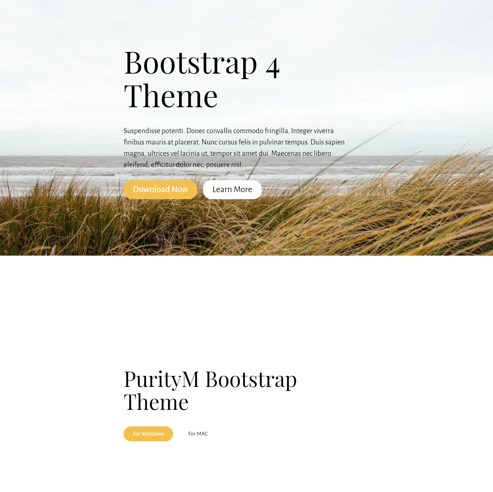 HTML5 Bootstrap 4 Themes