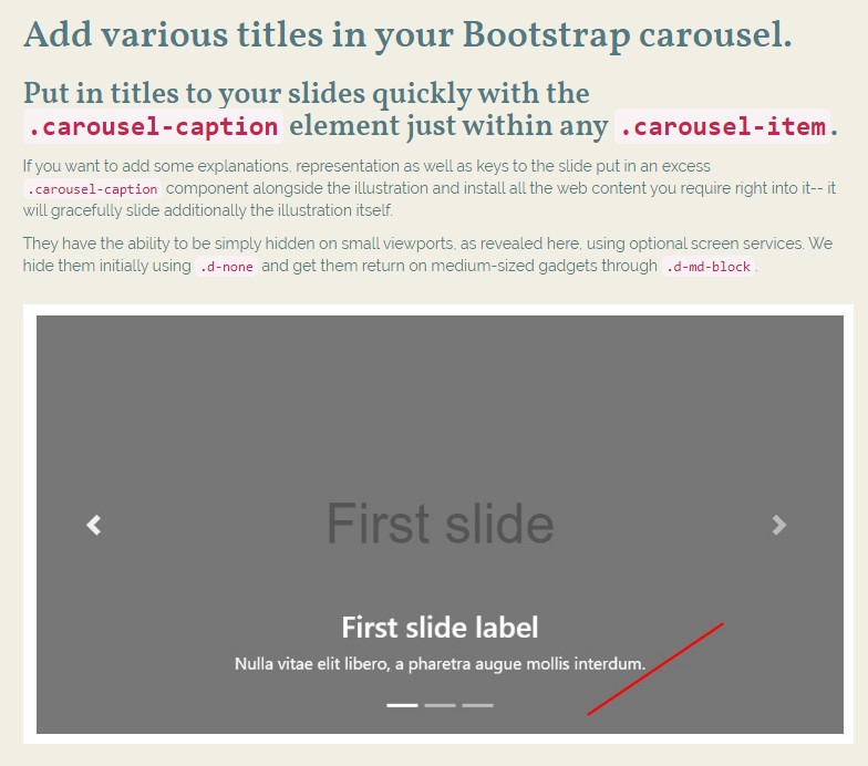  Bootstrap Carousel Template 